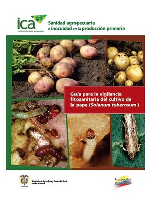 cover image of Guía para la vigilancia fitosanitaria del cultivo de la papa (Solanum tuberosum)